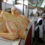 Precio del pollo se regularía en enero del 2016, según ministro de agricultura