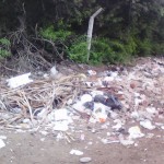 Vecinos de Barlovento denuncian que el camión de basura no pasa por la zona
