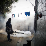 MINSA no descarta fumigar viviendas para prevenir expansión de virus del Zika