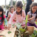 Niños aprenden a cuidar el medio ambiente con talleres en Fundo San Vicente