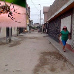 Pobladores de Praderas de San Juan gestionan fumigaciones debido al aumento de zancudos