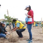 Iniciativa busca plantar cerca de 1.200 árboles