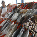 Precio del pescado subió un 20% por semana santa según comerciantes del mercado Virgen de Las Mercedes