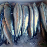 Consumo de pescados azules previene la diabetes y mejora el rendimiento escolar