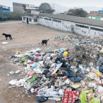 «La contaminación se erradica con el trabajo de los vecinos y del Municipio», sostuvo especialista