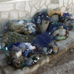 Quejas por tardanza del recojo de basura en el terminal pesquero