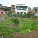 Colegio La Buena Esperanza implementa nuevo parque en la zona de Oasis de Villa