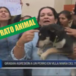 Activistas rescatan a perro que era maltratado por sus dueños