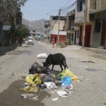 Villa María del Triunfo: Pobladores de AA.HH. de Vallecito preocupados por basura acumulada en el sector