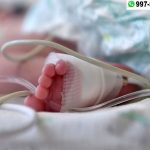 Ministra Zulema Tomás confirmó 1200 bebés prematuros en lo que va del año