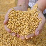 Perú suspende importación de productos agropecuarios procedentes de Bolivia