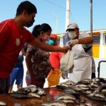 Hoy venta de pescados a precio económico en Chorrillos