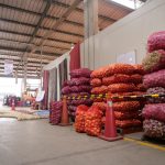 Gran Mercado Mayorista de Lima: Comerciantes celebrarán el Día de Arequipa con Festival de la Cebolla