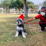 Organizan concurso canino de disfraces navideños en  San Juan de Miraflores