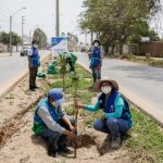 Serpar plantó 200 árboles en  Pachacámac y Santa María del Mar