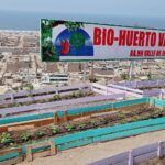 Programa de biohuertos de Petroperú promueve el sembrío de alimentos ecológicos