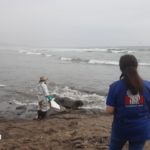 Defensoría del Pueblo: a un año del desastre ambiental en la costa peruana, se demanda acción articulada y continua por parte del Estado