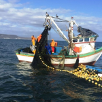 Carlos Latoche: “Hay hasta 200 mil personas afectadas por la crisis en pesca industrial”