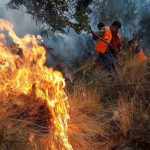 INCENDIO FORESTAL EN HUARAL PONE EN RIESGO POBLADO DE SUMBILCA