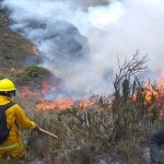 INCENDIOS FORESTALES DESCONTROLADOS EXPONEN LA FALTA DE ACCIÓN DEL GOBIERNO