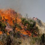 PERÚ CARECE DE EQUIPOS ADECUADOS PARA COMBATIR INCENDIOS FORESTALES