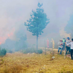 INCENDIOS FORESTALES EN PERÚ: URGENCIA DE CONCIENTIZAR Y PREVENIR PARA SALVAR EL FUTURO AMBIENTAL