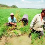 PIURA SE MANTIENE EN EL PUESTO 14 DEL ÍNDICE DE COMPETITIVIDAD REGIONAL