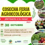 COSECHA FERIA ¡DEL HUERTO A TU MESA! 2024 EN VILA EL SALVADOR